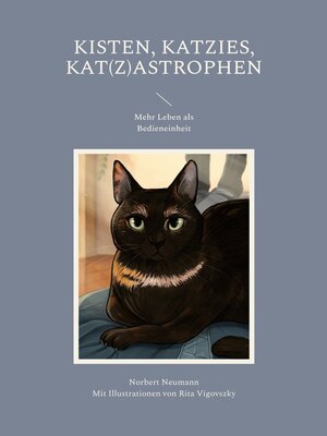 cover image of Kisten, Katzies, Kat(z)astrophen